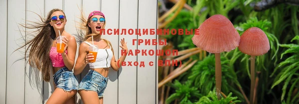 дмт Нязепетровск